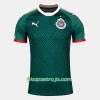 Billiga Fotbollströjor Chivas de guadalajara 2018/19 Tredje tröja Kortärmad